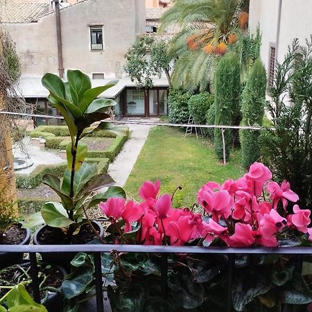 Ottantotto Viterbo Bed and Breakfast Exteriör bild